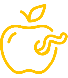 Fruit Protection
